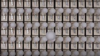 Video of mousetraps and ping-pong balls explains why social distancing works
