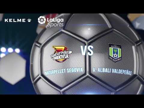 SPAIN LEAGUE : NATURPELLET SEGOVIA VS V.ALBALJ VALDEPENAS (6-6)