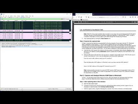 (CCNA-I-v7) 3.7.10 Use Wireshark to View Network Traffic.