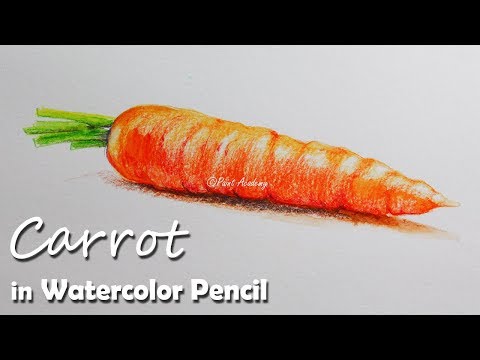 Mountains and Pine Tress Watercolor Pencil Landscape Drawing | steps to follow