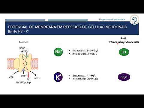 Fisiologia - Potenciais de Membrana e Potenciais de Ação