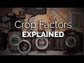 Explaining Crop Factors