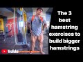 hamstring exercises to build bigger hamstrings at Home &Gym - prashant sajwan