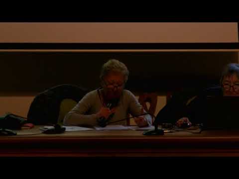 Francesca Pavese, Psicofarmaci, droghe e tossicodipendenze