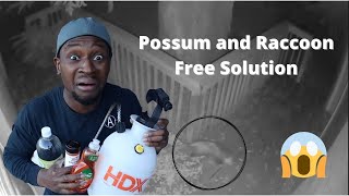 HOW TO KEEP RACCOONS, POSSUMS & SQUIRRELS AWAY FROM YOUR GARDEN OR BACKYARD. DIY SOLUTION Part 2!