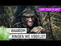 WAAROM RINGEN WE VOGELS? | Zapp Your Planet | NPO Zapp