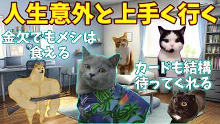 【猫ミーム】心配ごとが現実にならなかった時の話 金欠編 #猫ミーム #猫マニ