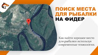 Ссылка