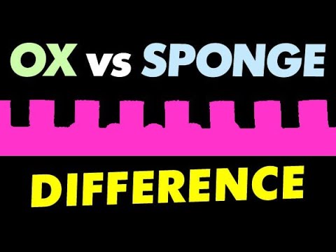 LONG PIPS with SPONGE and OX what DIFFERENCE in play no sponge pimples for chop block attack spin