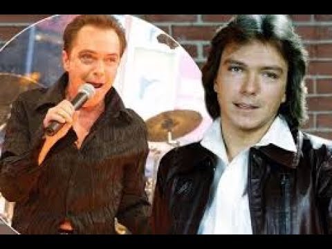David Cassidy’s family reveal he is ‘very sick’ as he awaits ‘vital liver transplant’