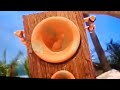 ZingZillas Season 4