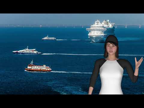 COLREG Rule 5 Look-out - MMD ORAL EXAM QUESTIONS & ANSWERS