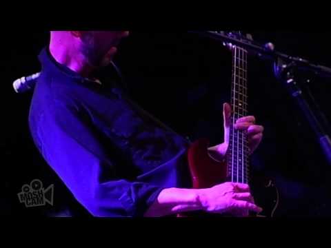 The Saw Doctors - Clare Island (Live in Sydney) | Moshcam