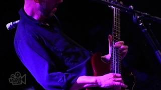 The Saw Doctors - Clare Island (Live in Sydney) | Moshcam