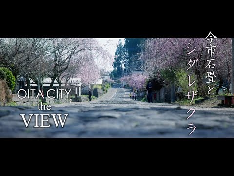 【OITA CITY -the VIEW-】今市石畳のシダレザクラ