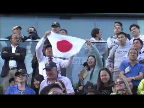 香港カップ（G1） 2016/12/11(日) | 日程・結果 | JRA-VAN World