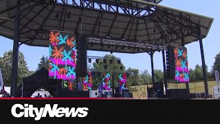 AfroFest organizers facing challenges securing permit from City of Toronto due to event size