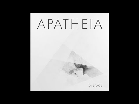 DJ Brace "Shake My Head"