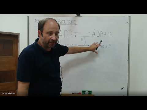 Clase de Repaso TYTL -  Fisiología del Deporte - Prof Jorge Molinas