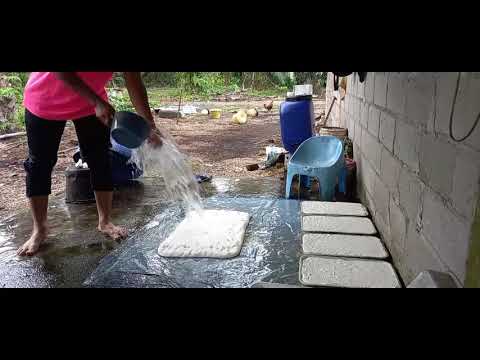 Getah Keping / Rubber Tapper