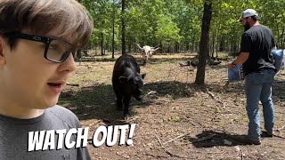 DAD’S About To FIND OUT! @DossFarm