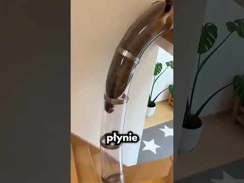 Koty Są Z… CIECZY?!🙀