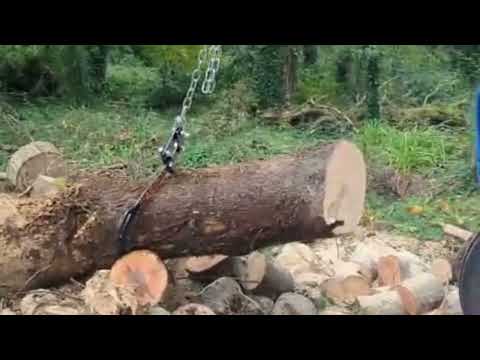 The Viper Claw Timber Grab - Image 2
