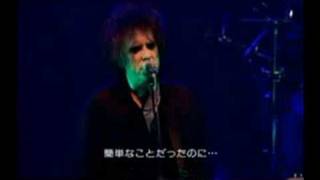 The cure - The last day of summer(Sub - spanish)