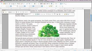 insert and edit pictures in Open Office Writer