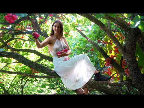 A Thousand Tropical Fruit Trees: Tour of my Abundant Orchard