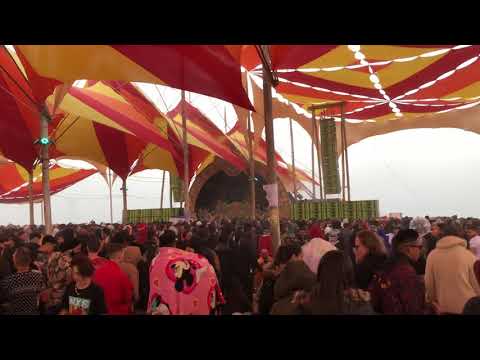 Maya 2019 - Reality Test