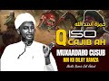 MUXAADARO CUSUB QISO CAJIIB AH WAXSHI NINKII DILAY XAMZA IYO NABIGA ᴴᴰ SHEEKH XUSEEN CALI JABUUT