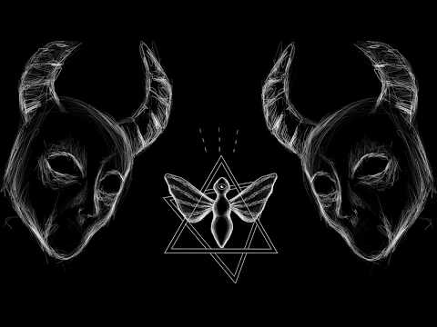 EXENTRA - WOLFPACK