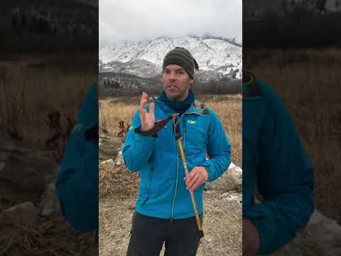 Don't use pole straps - 12 Dec 2020