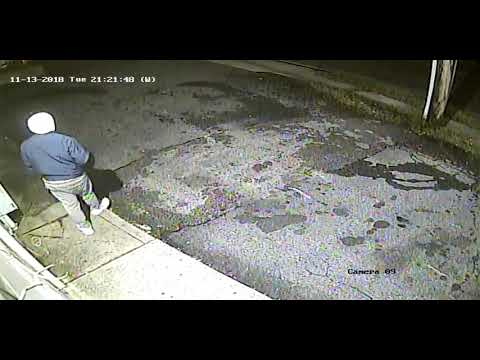 Pantry 1 Burglary Suspects Caught on Surveillance Video (11/13/18)