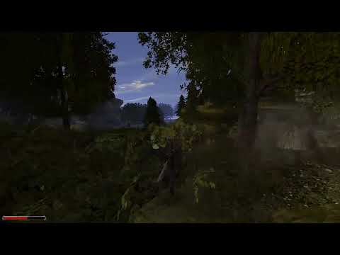 Gothic 2 . Chapter 5, Switching to Two Handed wagon