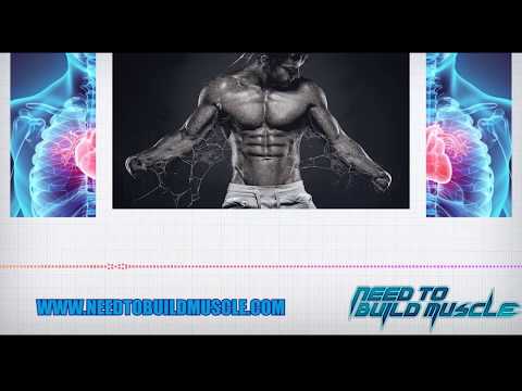 Deca Durabolin - Nandrolone Cycle 8/10 | Clip from Evolutionary Podcast Episode | #280