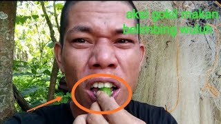 Download lagu Aksi gokil makan belimbing wuluh 2018. Bodoh, lucu atau lapar aksi bocah satu ini mp3 Download lagu Aksi gokil makan belimbing wuluh 2018. Bodoh, lucu atau lapar aksi bocah satu ini mp3