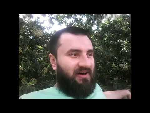 БУШАР - ЦУРЕНКО 0-2(2-6,2-6)/Открытый чемпионат Франции/Прогнозы на теннис