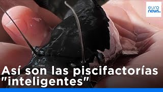 Thumbnail del capítulo