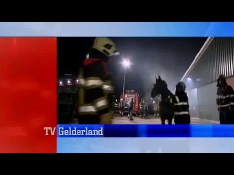 GLD Nieuws 5 maart 2009 - Nieuws