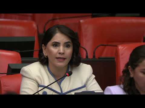 Nevroz Uysal: KHK mağduriyetleri giderilmeli, ihraç edilen akademisyenler görevlerine iade edilmeli