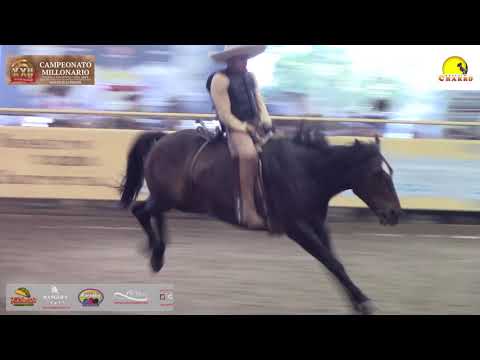 #BoletinCharroTv Poderosas PICHONAS en el reparo del Millonario