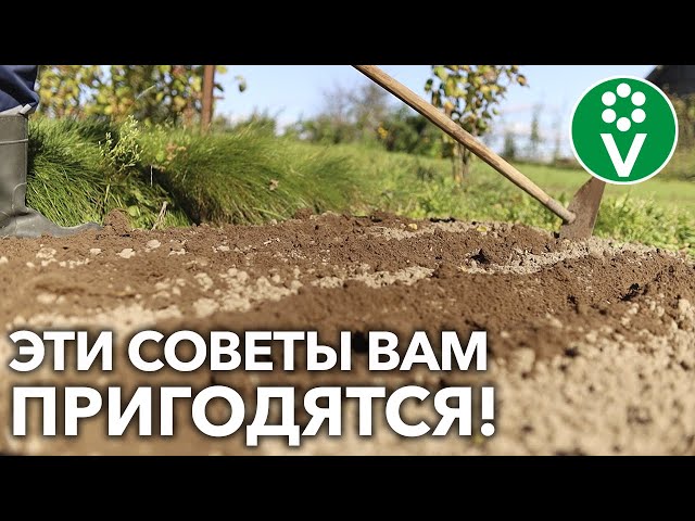 САДОВЫЕ ХИТРОСТИ ДЛЯ САДА И ОГОРОДА! Легко и просто – убедитесь сами!
