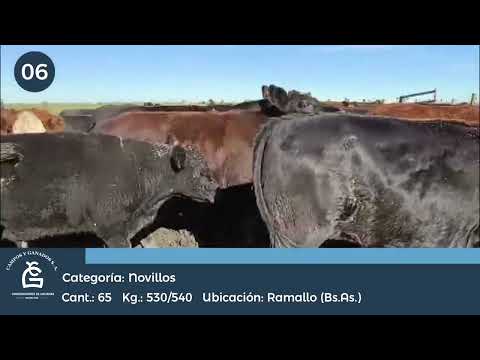 Lote NV CONSUMO - Ramallo Bs As