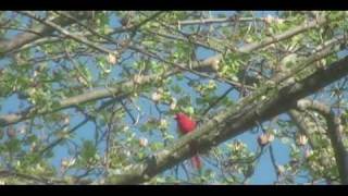 The Group Who Couldn&#39;t Say