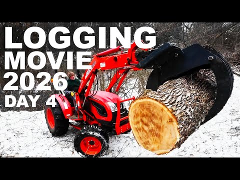 FIREWOOD PRODUCTION 8 HOURS OF CUTTING DEAD ASH  DAY 4!