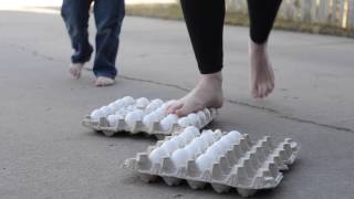 10 Egg Science Experiments for Kids