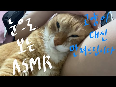 아이콘