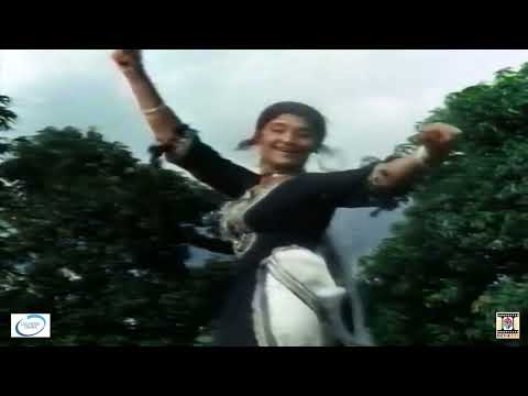 TERI HIK TE ALNA PAWAN GI - NOOR JEHAN - ASIYA - FILM WEHSHI GUJJAR